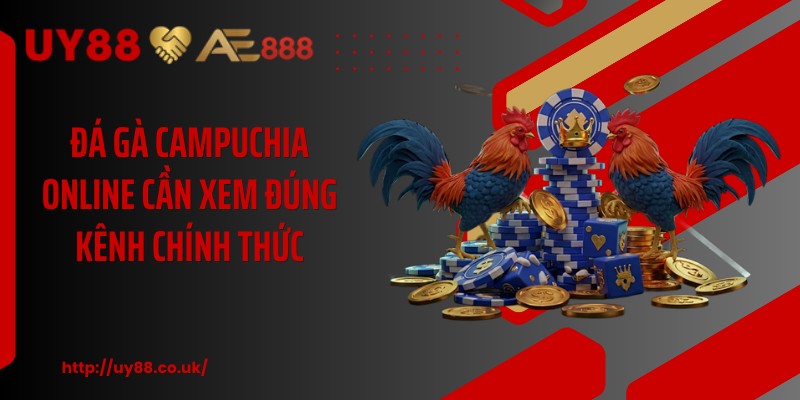 Đá gà campuchia online cần xem đúng kênh chính thức