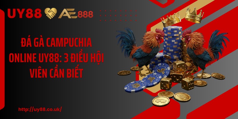 Đá Gà Campuchia Online UY88: 3 Điều Hội Viên Cần Biết 