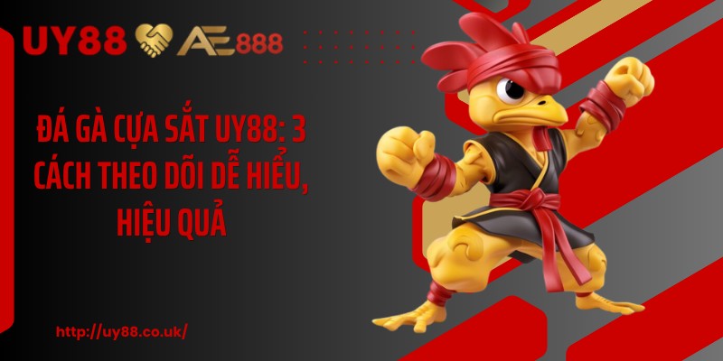 Đá Gà Cựa Sắt UY88: 3 Cách Theo Dõi Dễ Hiểu, Hiệu Quả 