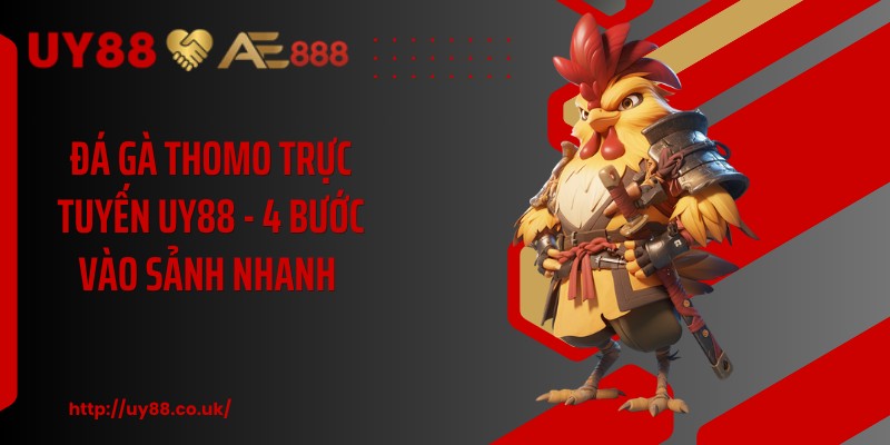 Đá Gà Thomo Trực Tuyến UY88 - 4 Bước Vào Sảnh Nhanh 